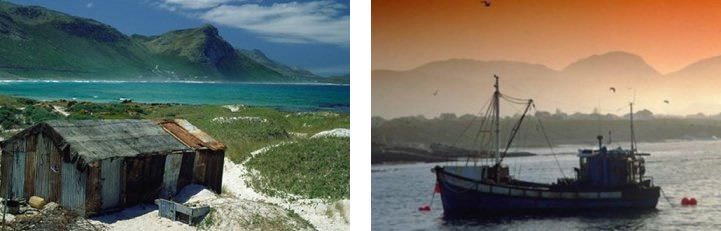 Hermanus Whale Tour